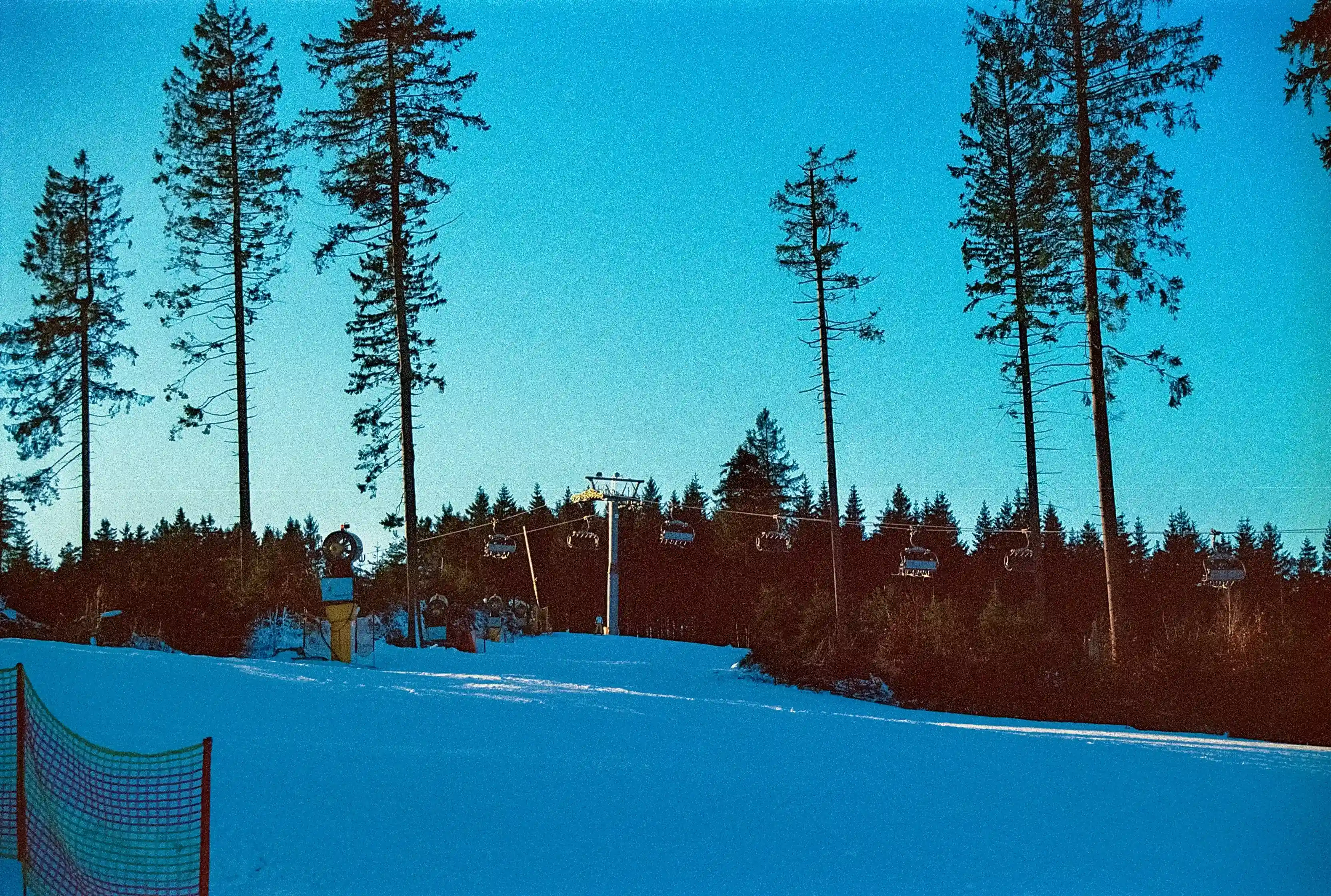 Best places to visit in Dhanaulti 