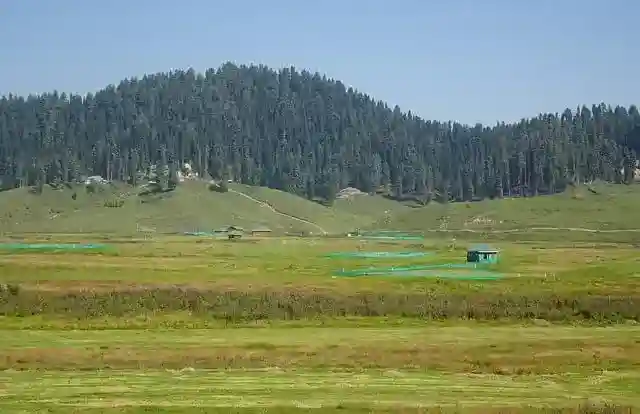 Best Time to Visit Gulmarg