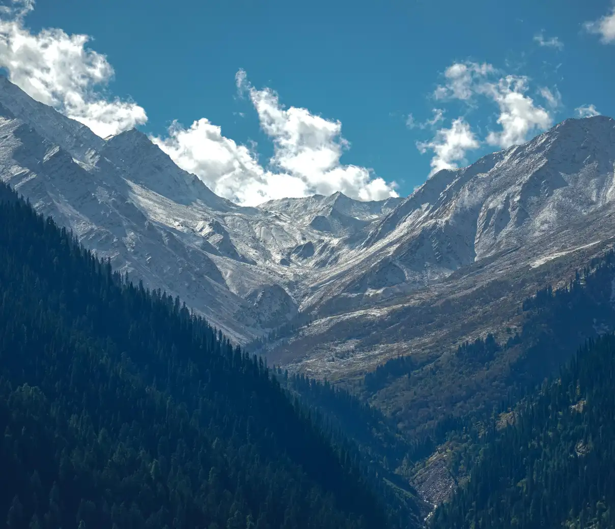 Manali Jispa Kasol Tosh