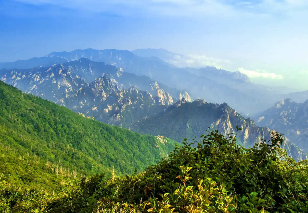 Manali Kasol Sissu Tour Package