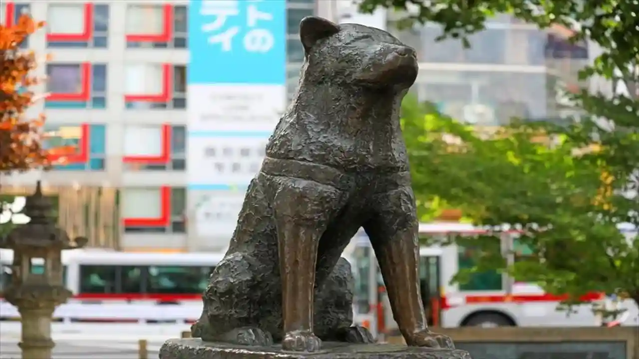 Hachiko Statue
