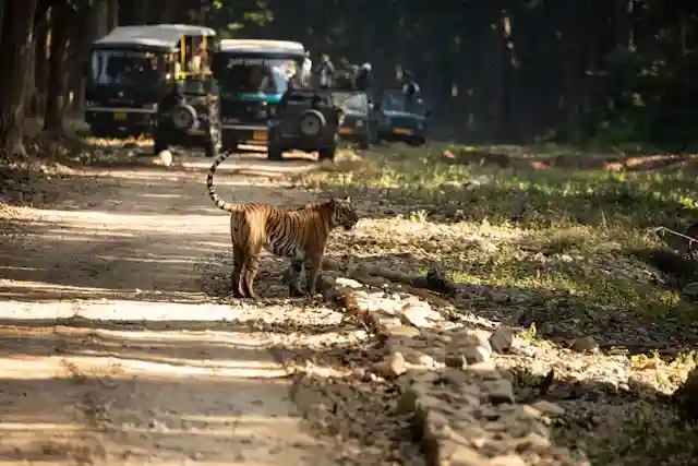 Places to Visit in Jim Corbett.webp