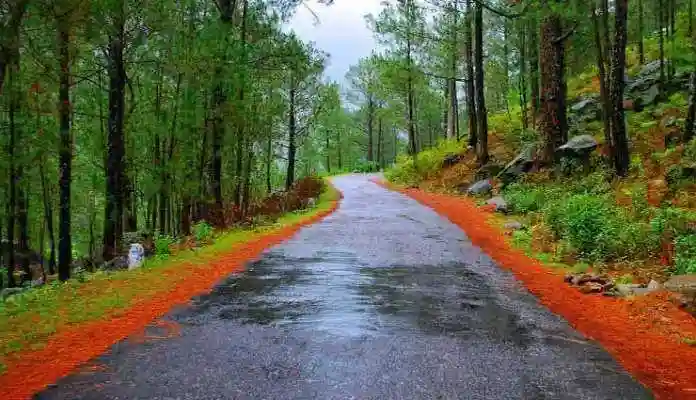 Places To Visit in Ranikhet