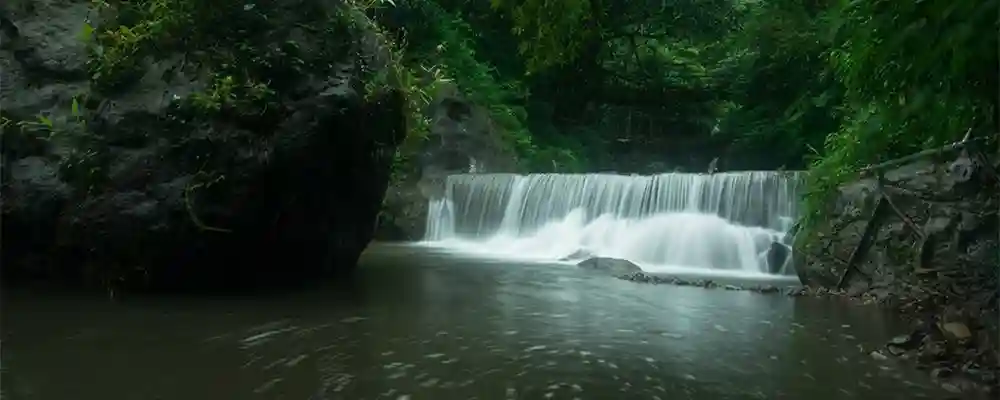 Visit the Green Paradise - Meghalaya